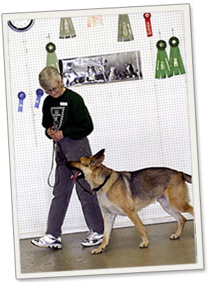 Home 4 CJ's Dog Training